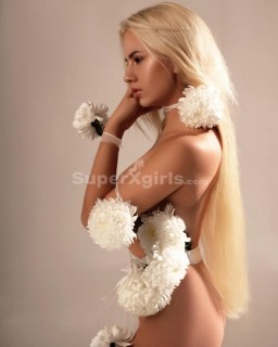 مرافقة يريفان