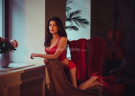 مرافقة أمستردام